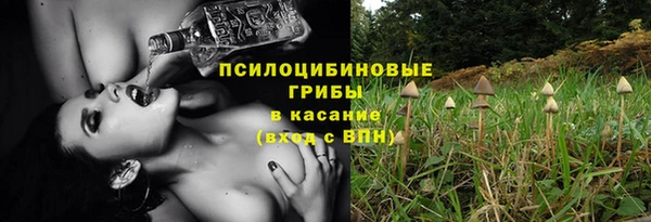 гашик Ростов